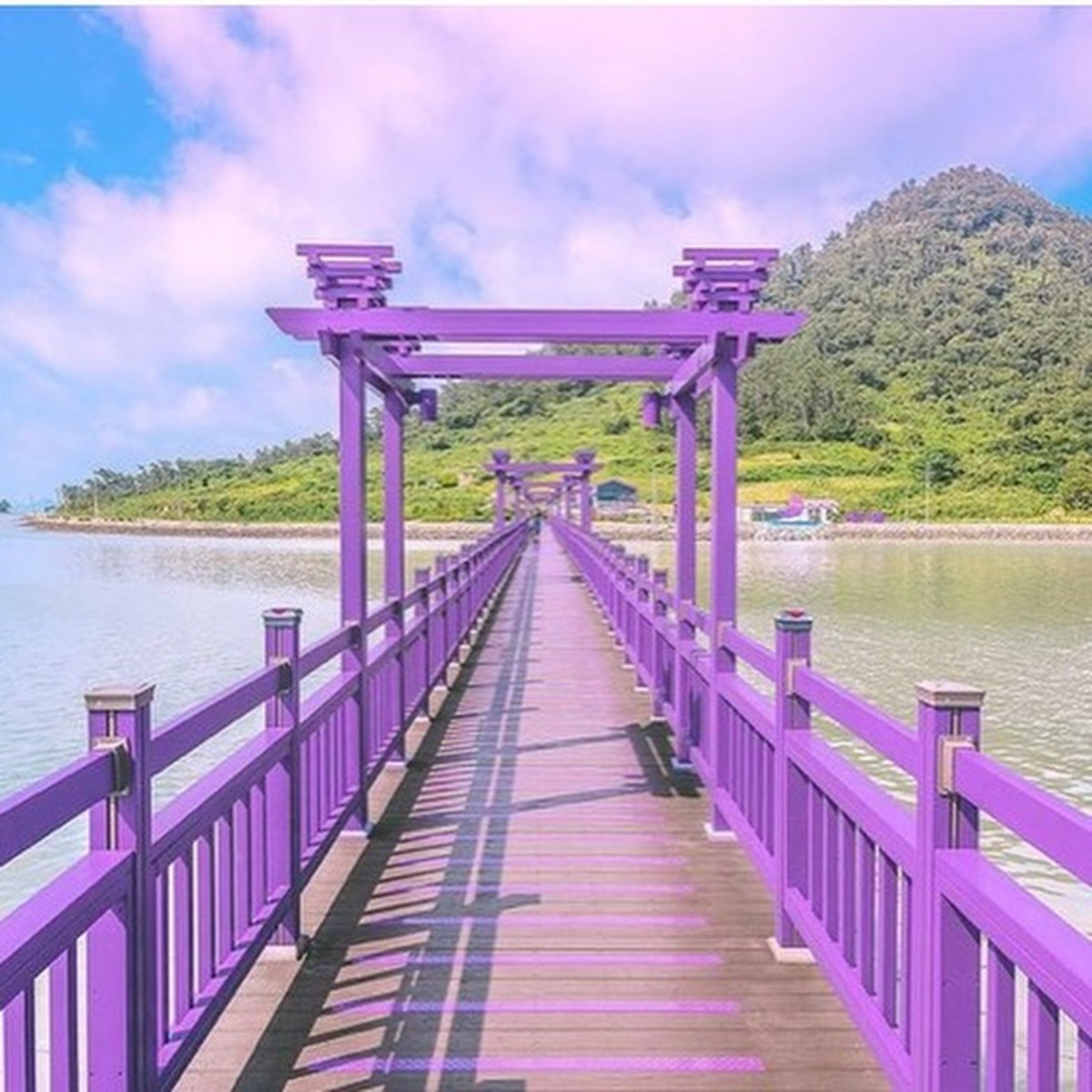 Фиолетовый остров