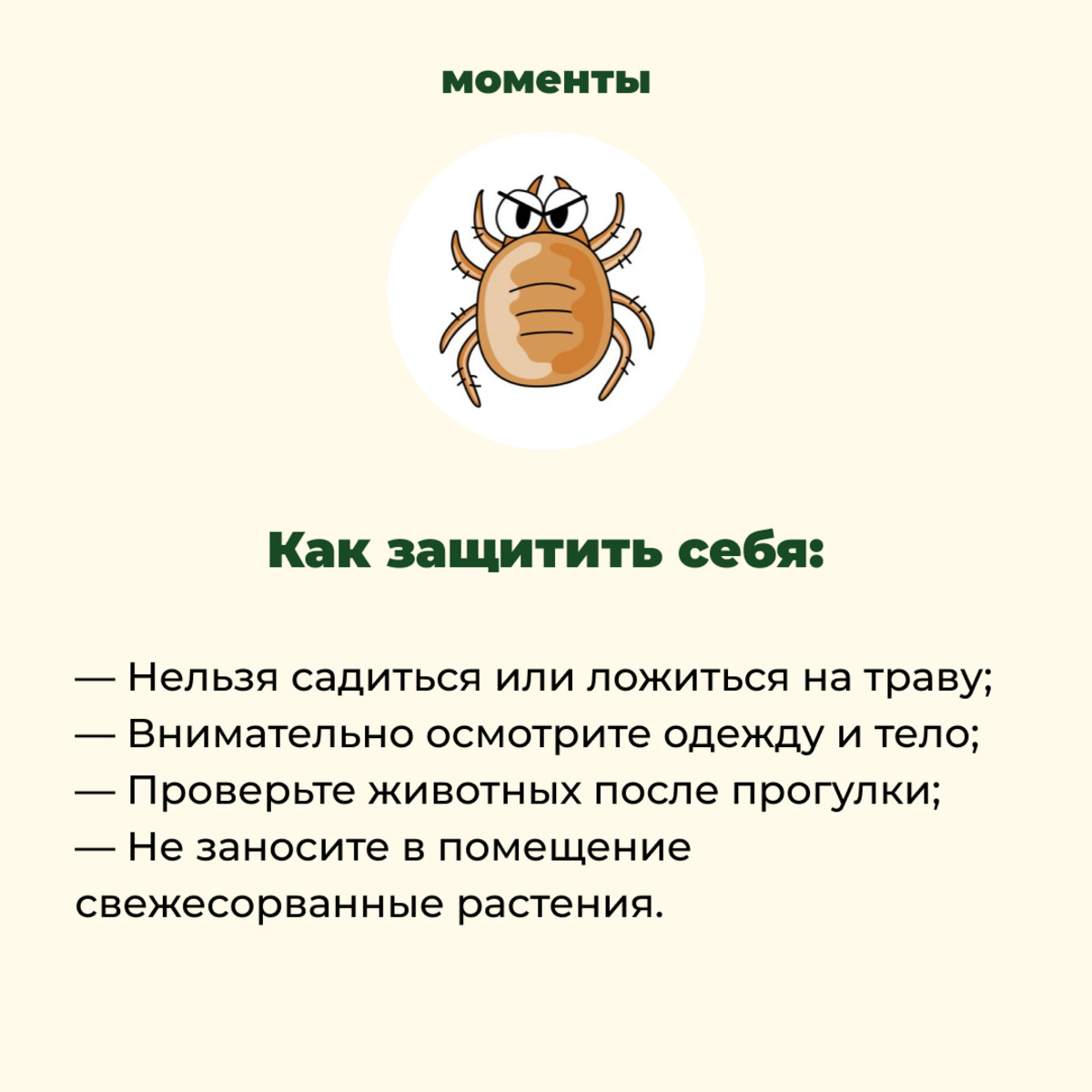 В Екатеринбурге стартует сезон обработки зеленых зон от клещей