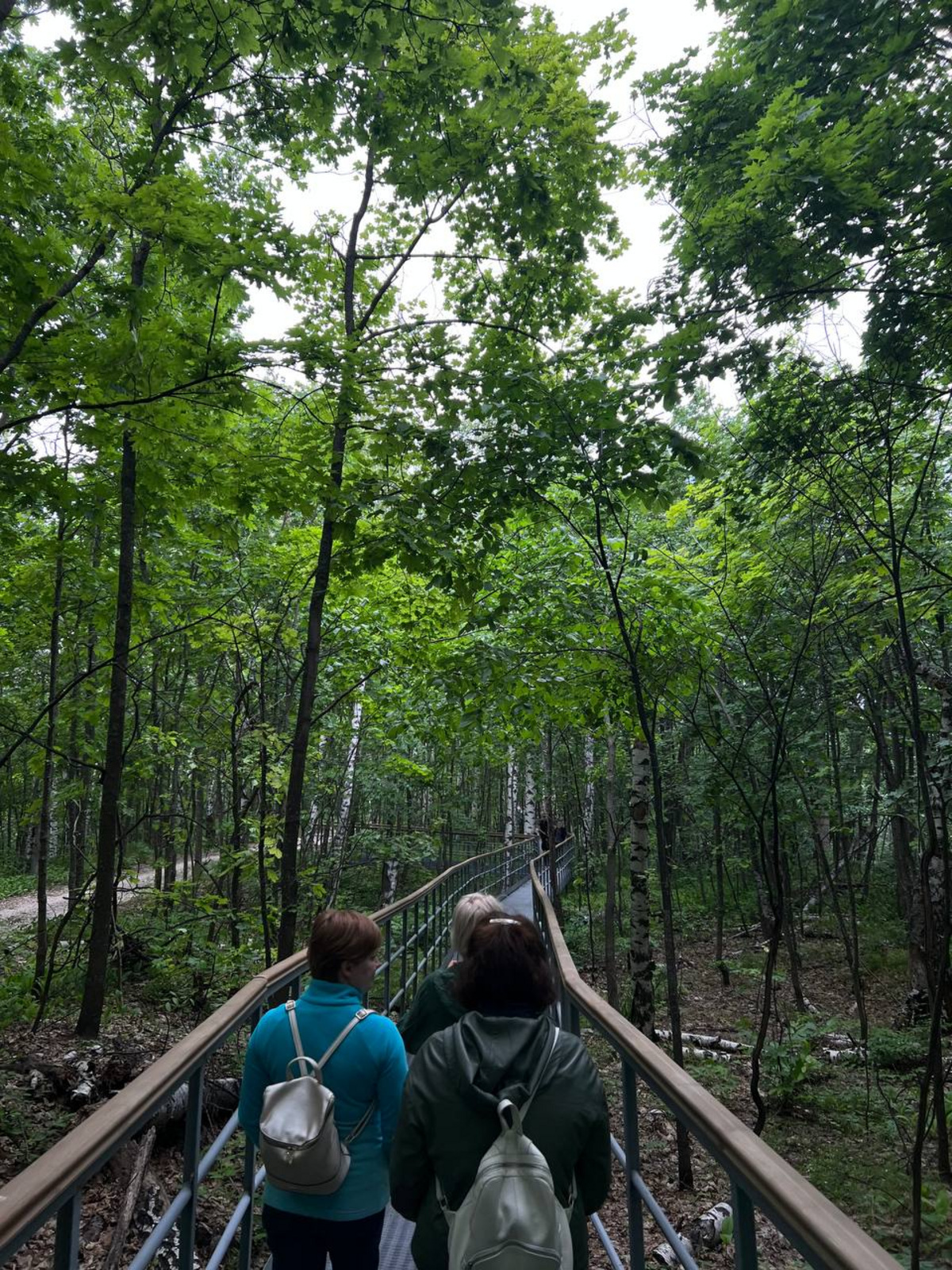 Национальный парк «Самарская Лука» Национальный парк «Самарская Лука»