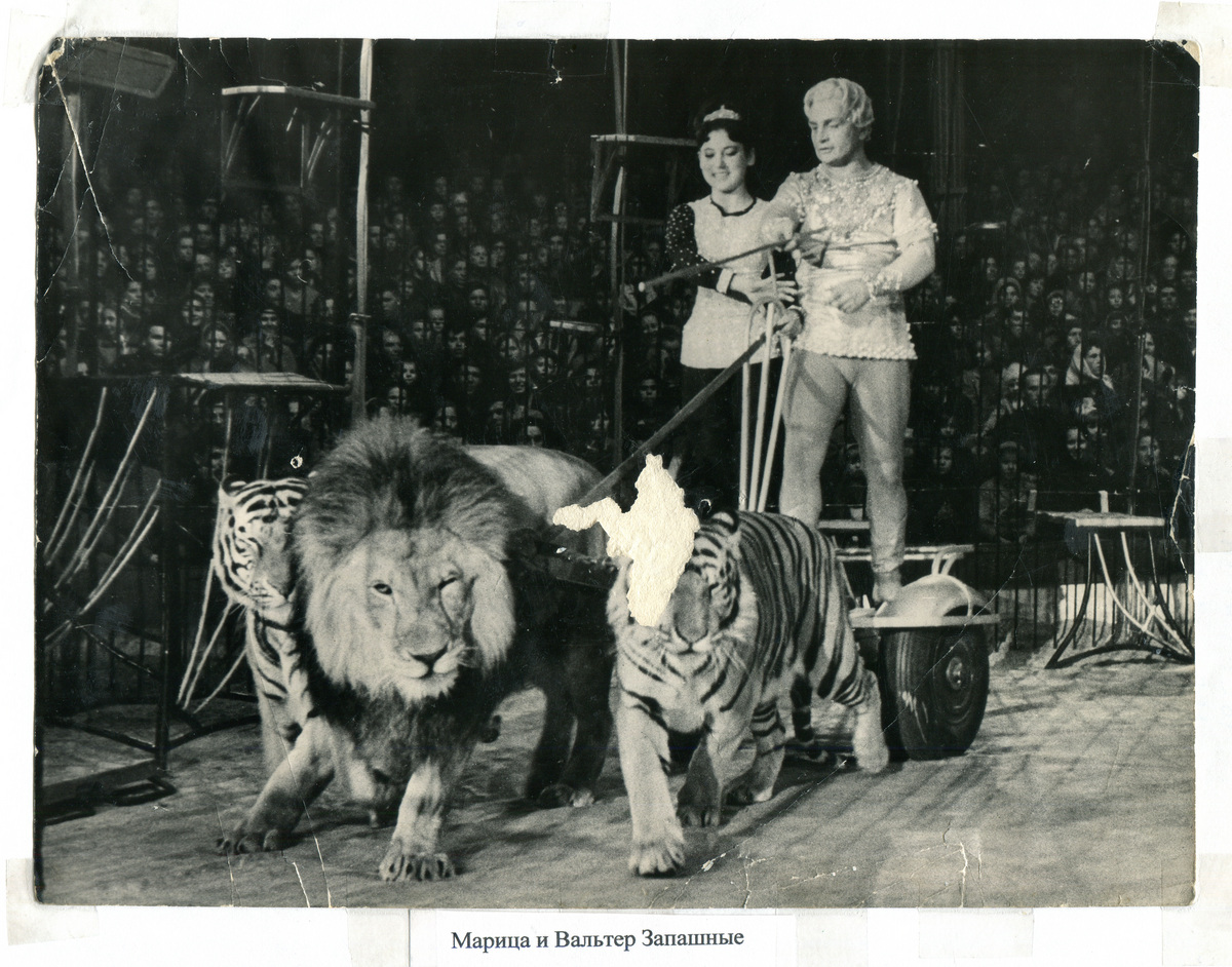 Фотография 1950-х годов Фотография 1950-х годов