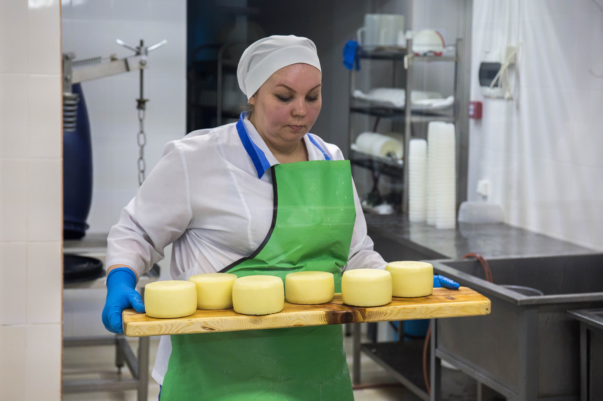 Уральский сыр сегодня можно не&nbsp;только купить, но&nbsp;и&nbsp;самому приготовить на&nbsp;производстве