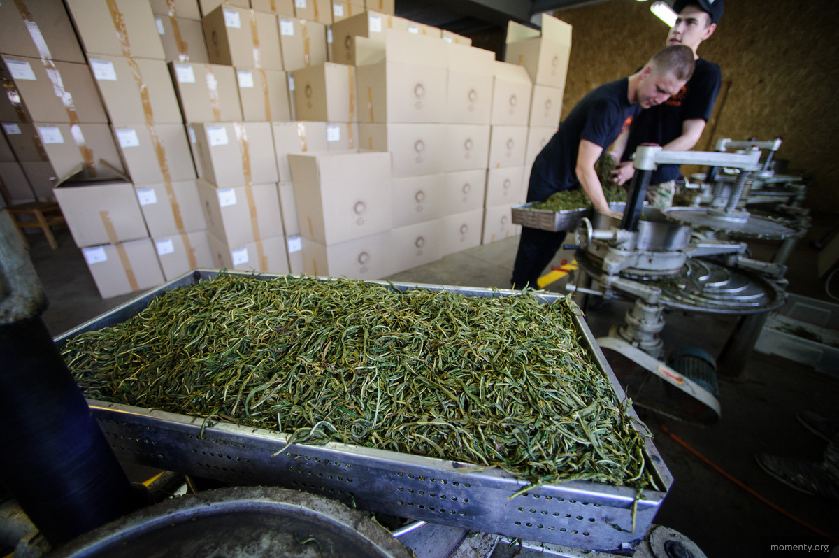 В Екатеринбурге стало модно пить чай местного производства В Екатеринбурге стало модно пить чай местного производства