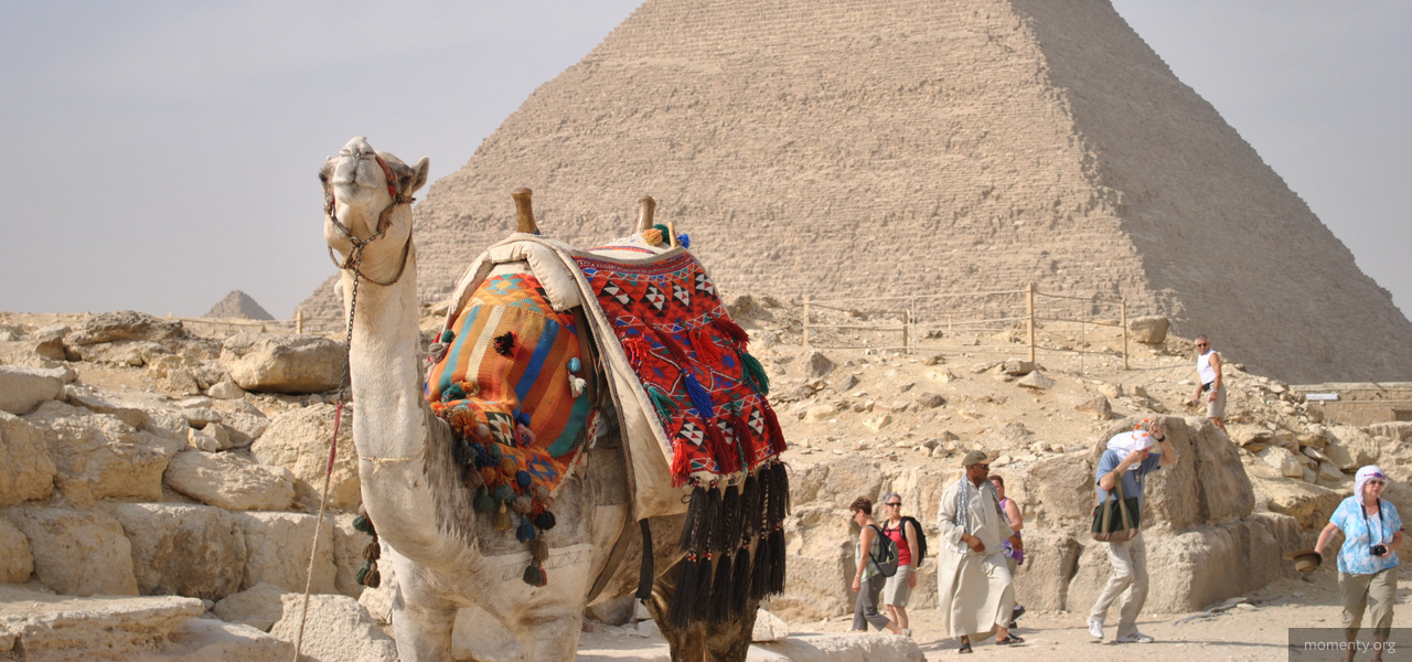 Египет станет доступен для отдыха весной. Туроператоры готовят предложения