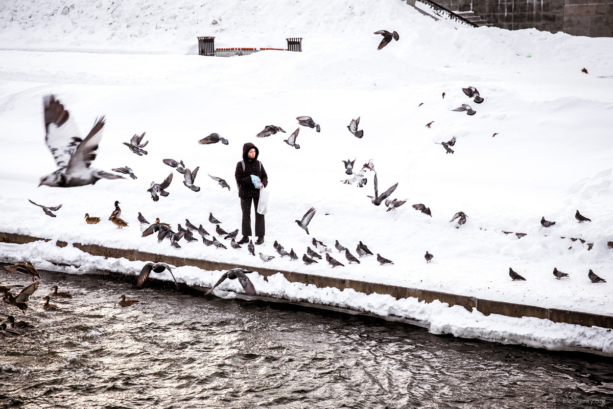 В&nbsp;Екатеринбурге многолетний релакс в&nbsp;выходные&nbsp;&mdash; прогулки по&nbsp;набережной в&nbsp;поисках голубей. Горожане часто подкармливают птиц зимой.