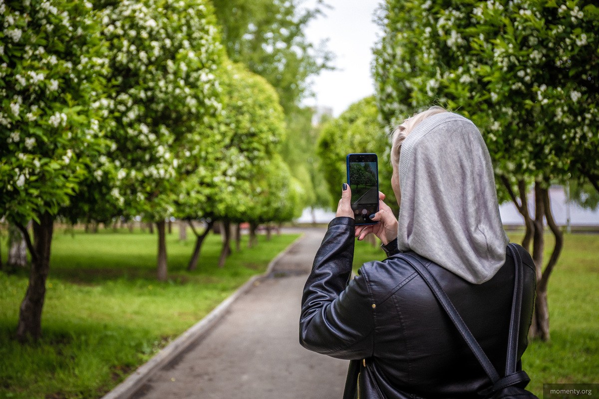Горожане гуляют в&nbsp;сквере, фотографируют яблони и&nbsp;завязывают памятные ленты на&nbsp;деревья.