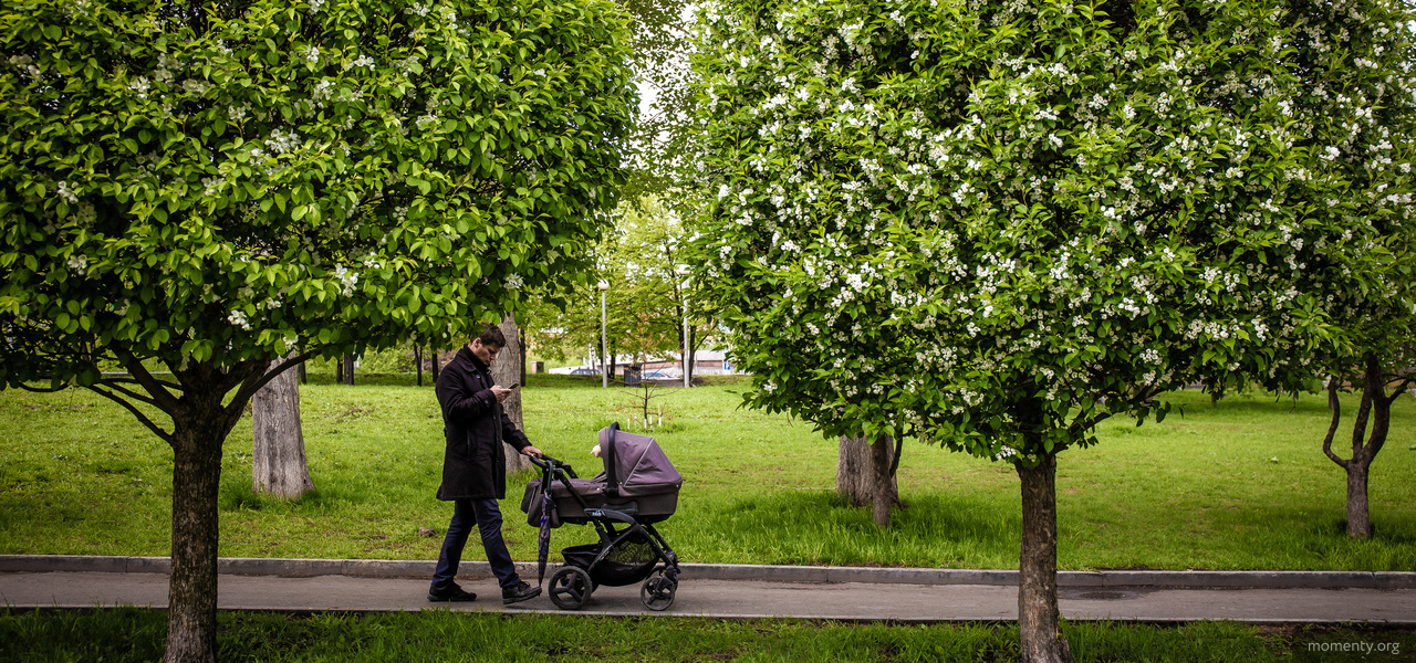 Решать судьбу сквера будут 10 горожан. Среди них известный шоумен Решать судьбу сквера будут 10 горожан. Среди них известный шоумен