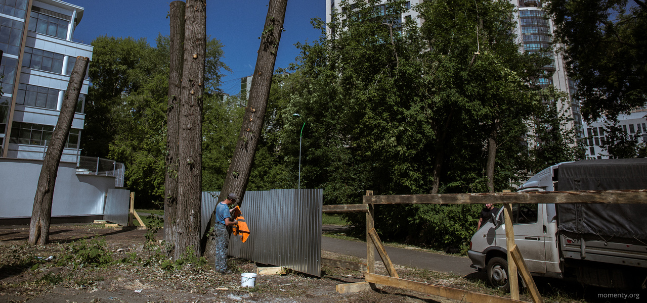 Зеленые активисты стали работать на опережение. Предупредили о вырубке деревьев в центре Зеленые активисты стали работать на опережение. Предупредили о вырубке деревьев в центре