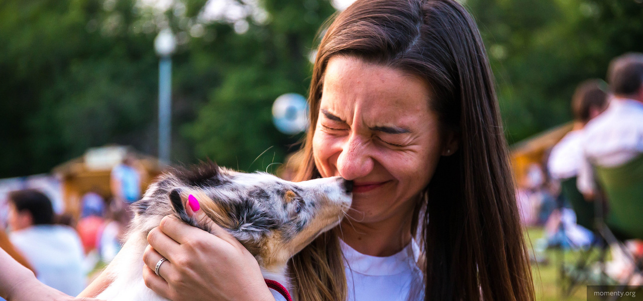 Для собак бизнесменов открыли детский сад Для собак бизнесменов открыли детский сад