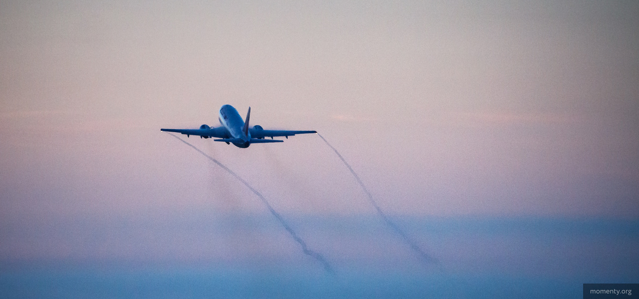 Озвучены сроки возобновления авиасообщения с Грузией Озвучены сроки возобновления авиасообщения с Грузией