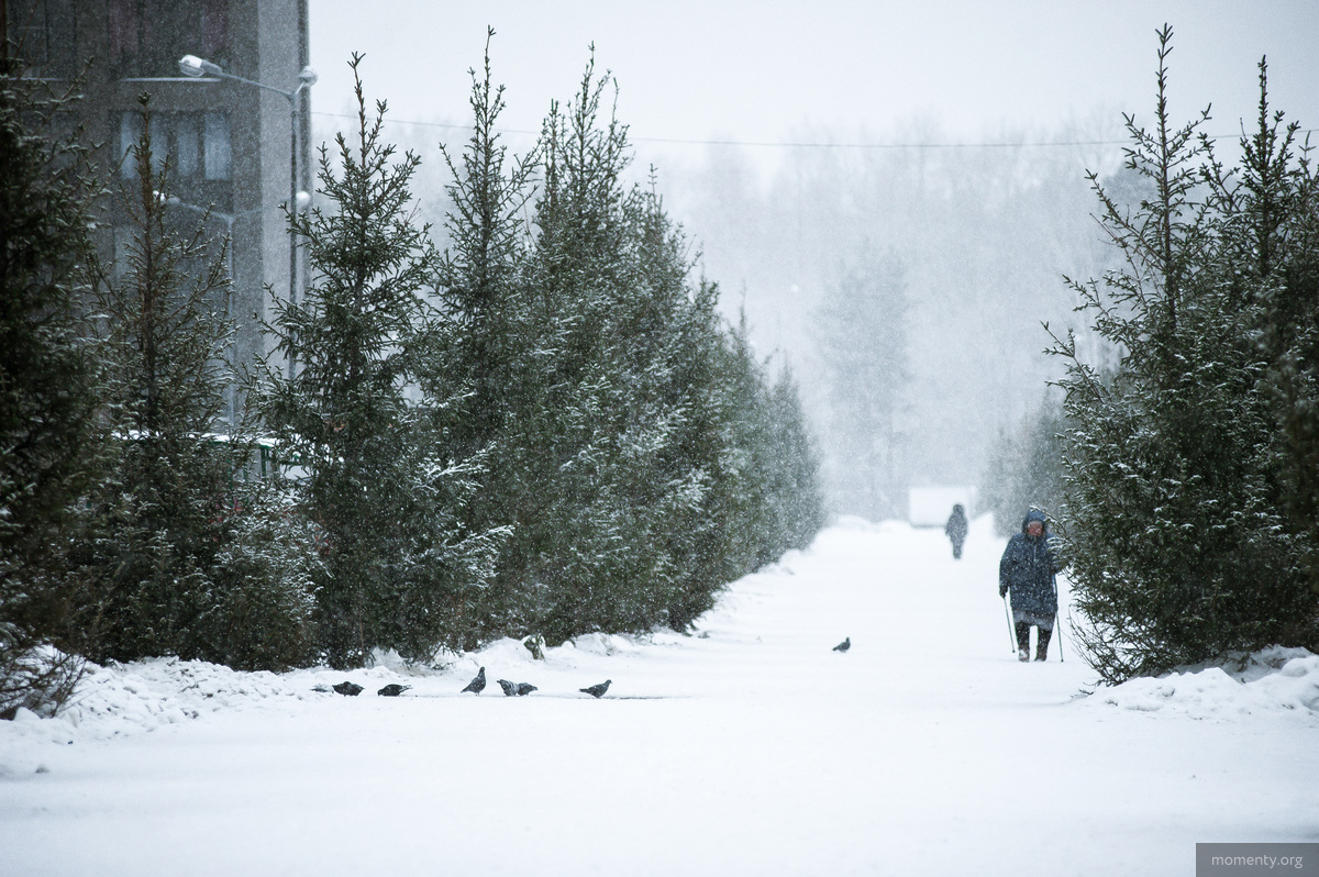 Снег в&nbsp;Екатеринбурге шел всю неделю, правда буквально сразу&nbsp;же таял в&nbsp;плюсовой температуре.