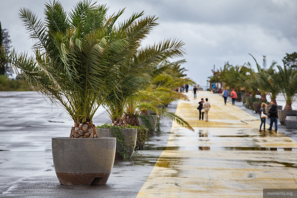 Ограничения на выезд за границу заставили уральцев переводить деньги в Сочи Ограничения на выезд за границу заставили уральцев переводить деньги в Сочи