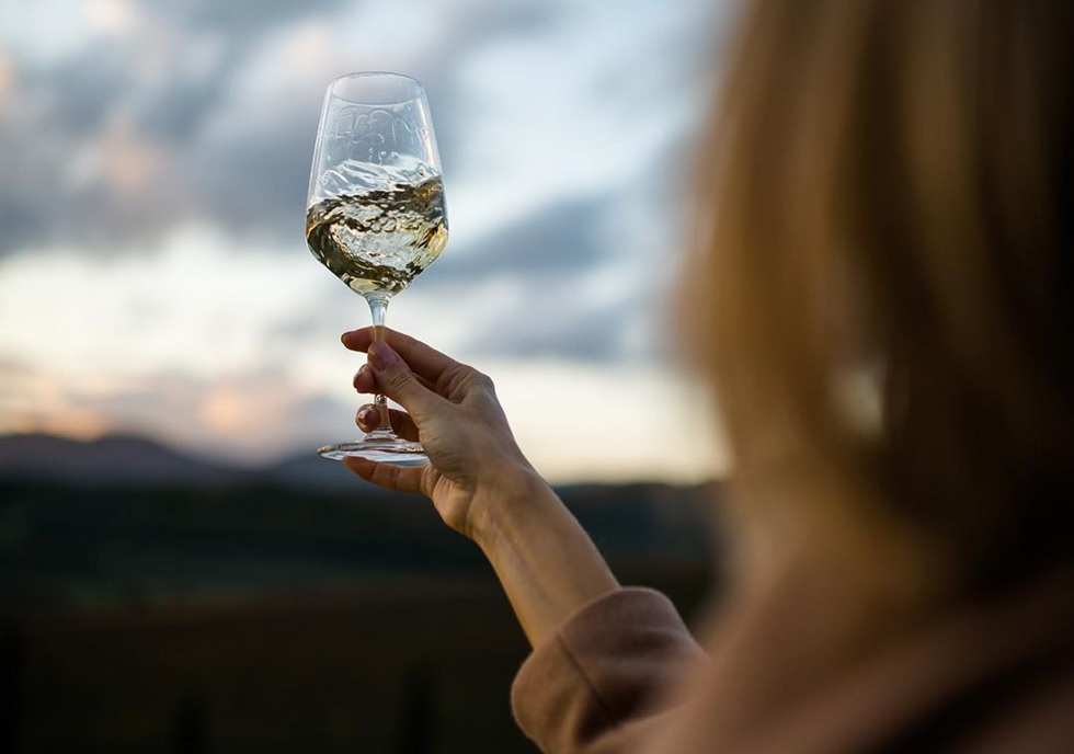 Итальянские вина Никиты Михалкова завезут на Урал Итальянские вина Никиты Михалкова завезут на Урал