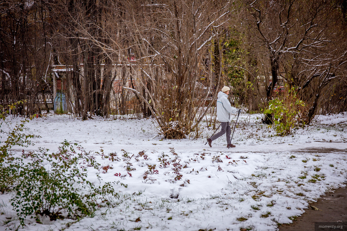 Выбор других проектов вместо благоустройства Дендрария не предусмотрено Выбор других проектов вместо благоустройства Дендрария не предусмотрено