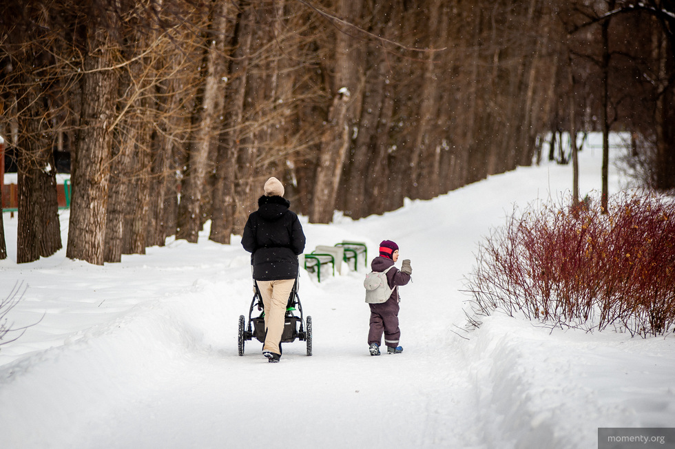 Уральцы выступили против проекта благоустройства Дендрария. «Не верю, что 100 тысяч людей проголосовали за парк» Уральцы выступили против проекта благоустройства Дендрария. «Не верю, что 100 тысяч людей проголосовали за парк»