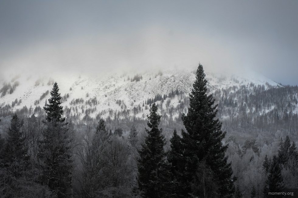 Испанским бизнесменам пришлось выживать на севере Урала на 3000 рублей Испанским бизнесменам пришлось выживать на севере Урала на 3000 рублей
