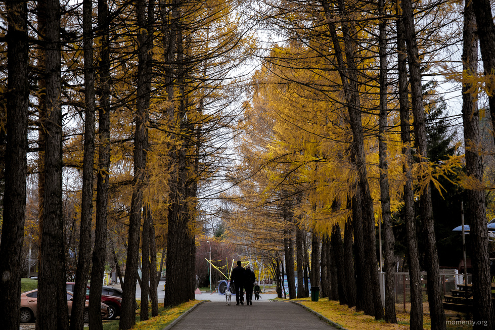 Мэр Екатеринбурга предложил открыть парки для горожан Мэр Екатеринбурга предложил открыть парки для горожан