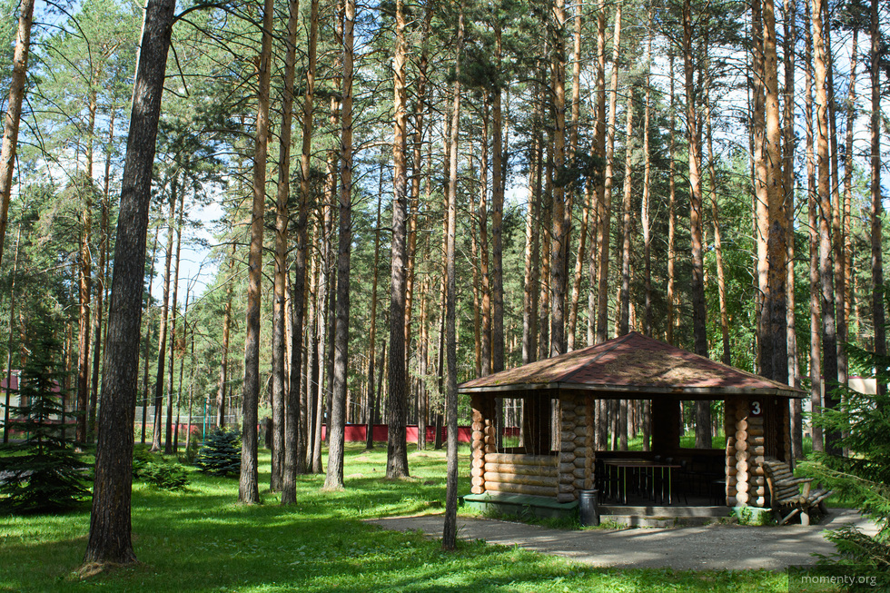 Владельцам загородной недвижимости пригрозили штрафами за&nbsp;шашлыки