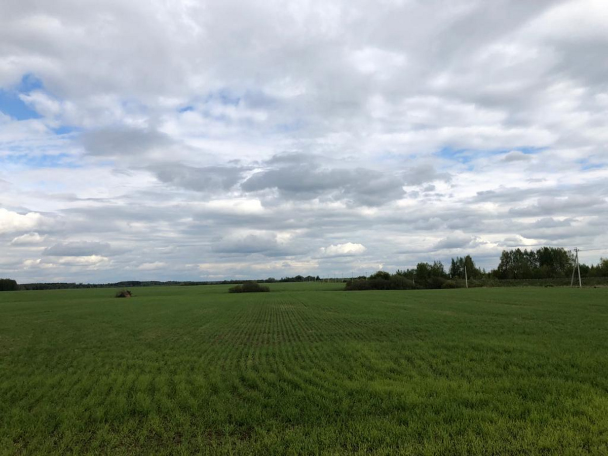 Вот так сейчас выглядит земля, которую купил Дегтярев под строительство фермы. Вот так сейчас выглядит земля, которую купил Дегтярев под строительство фермы.