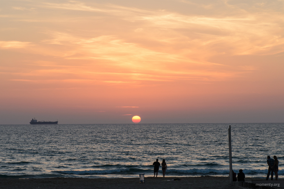 В Турции начали распродавать пляжи русским, готовым вылететь первым рейсом В Турции начали распродавать пляжи русским, готовым вылететь первым рейсом