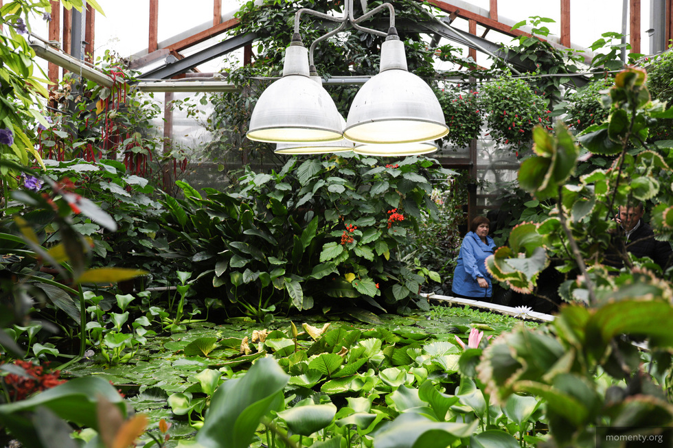 Ученый теофраст. Первый ботаник. Первый ботаник. Ученый основоположник ботаники. Ботаник теофраст.