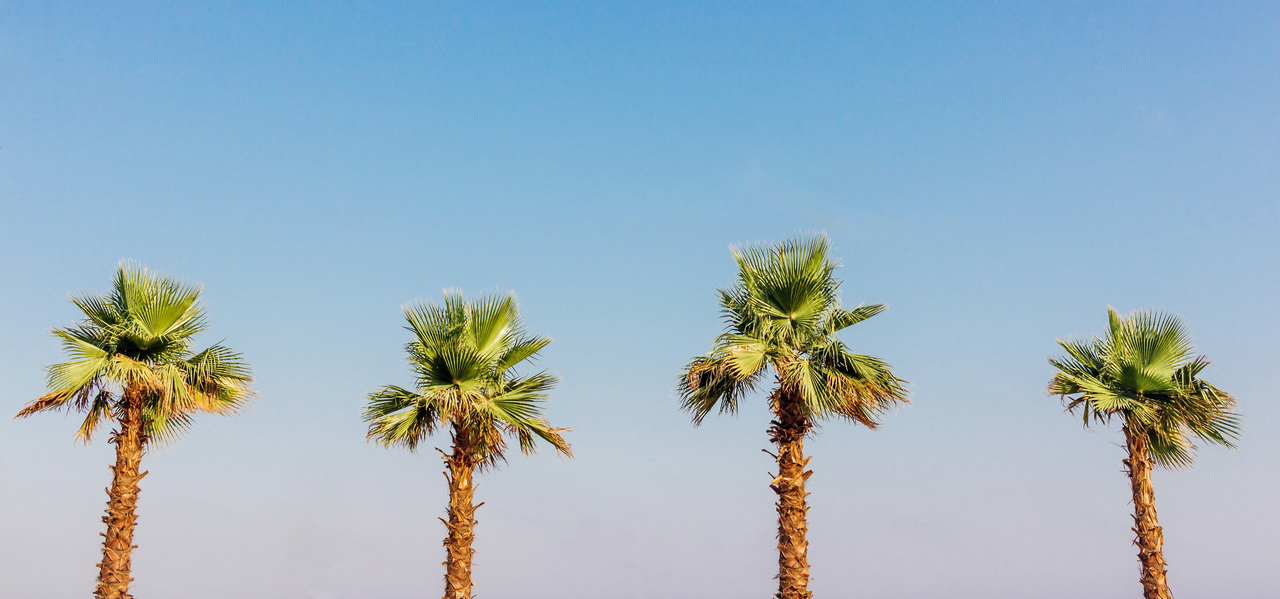 Туроператорам сказали не продавать путевки в Турцию после 1 июня Туроператорам сказали не продавать путевки в Турцию после 1 июня