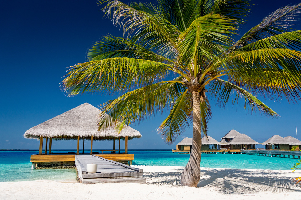Туристов заманивают на&nbsp;Мальдивы низкими ценами