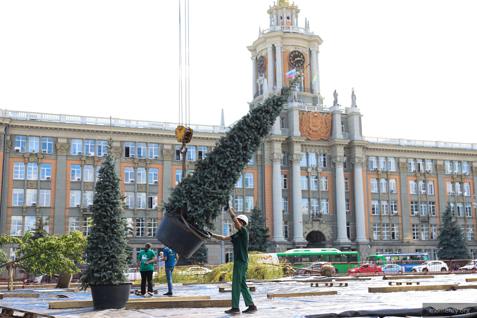 Сад на&nbsp;главной площади Екатеринбурга хотят оставить навсегда