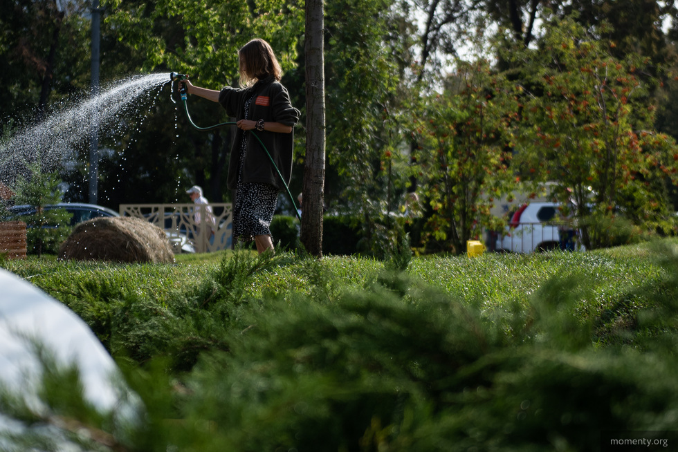 Сад на главной площади Екатеринбурга раскидают по городу Сад на главной площади Екатеринбурга раскидают по городу