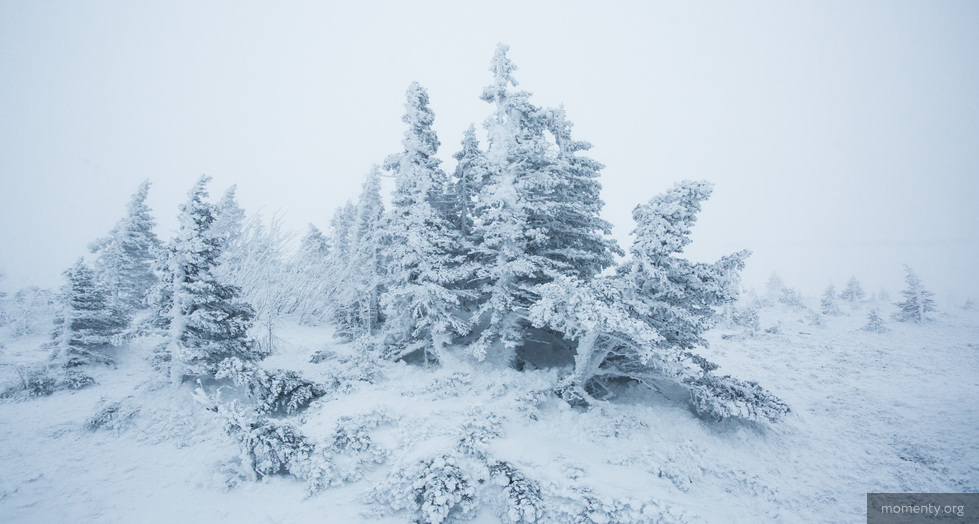 Новогодние праздники подарят уральцам мороз и&nbsp;низкое давление