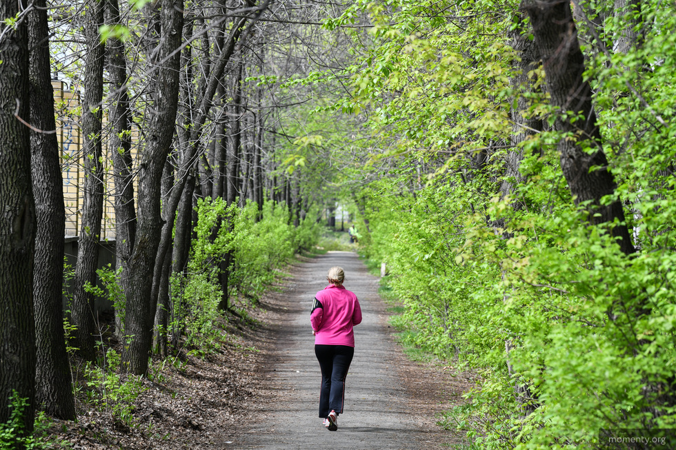 В Екатеринбурге могут начать сдавать в аренду парки и набережную В Екатеринбурге могут начать сдавать в аренду парки и набережную