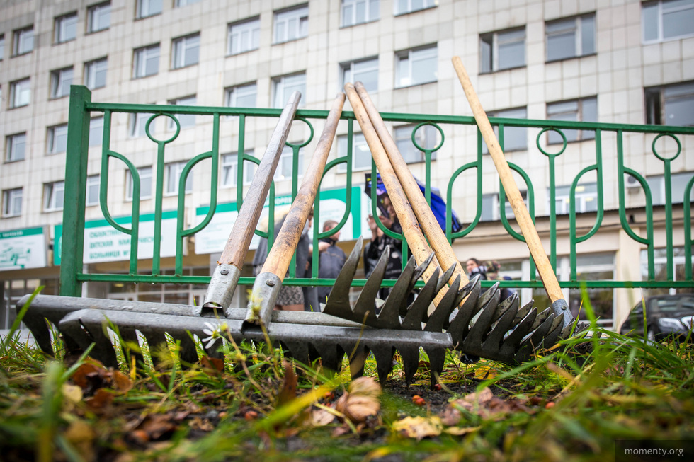 Фестиваль цифрового искусства поможет собрать мусор у Верх-Исетского пруда Фестиваль цифрового искусства поможет собрать мусор у Верх-Исетского пруда