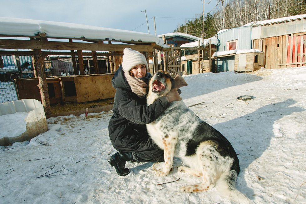 Культурная элита Екатеринбурга поможет бездомным животным