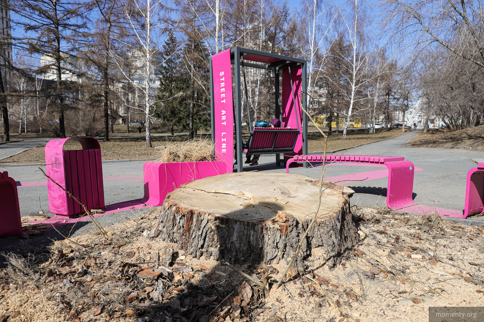 STENOGRAFFIA восстановит утраченное дерево в центре Екатеринбурга STENOGRAFFIA восстановит утраченное дерево в центре Екатеринбурга