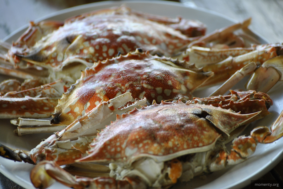 Вместо отмененного «Держи Краба» уральские рестораторы запустили свой фестиваль с крабами и коктейлями Вместо отмененного «Держи Краба» уральские рестораторы запустили свой фестиваль с крабами и коктейлями