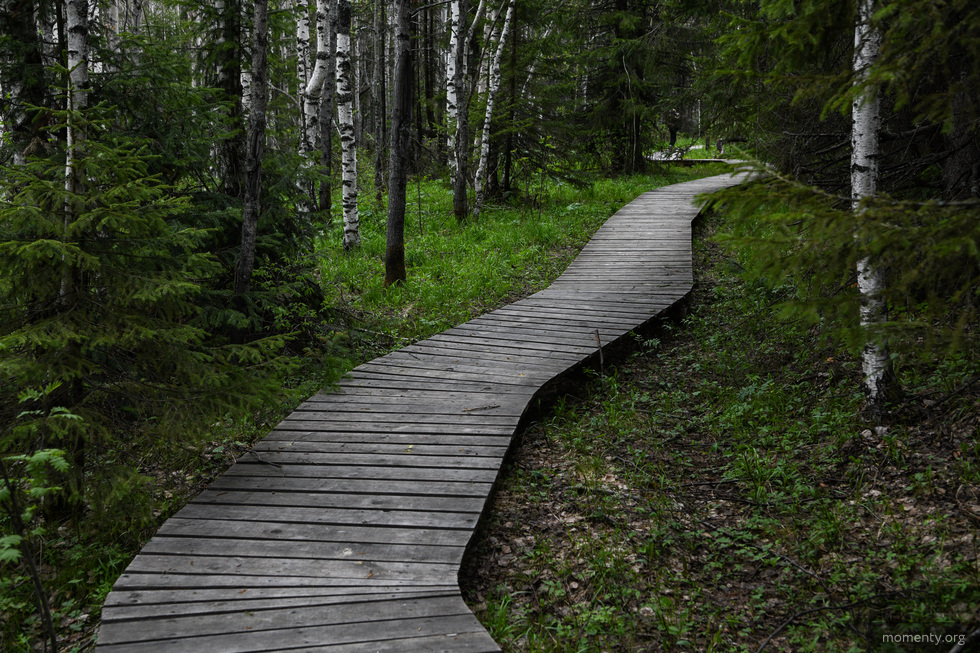 В Свердловской области появится инклюзивный туристический маршрут В Свердловской области появится инклюзивный туристический маршрут