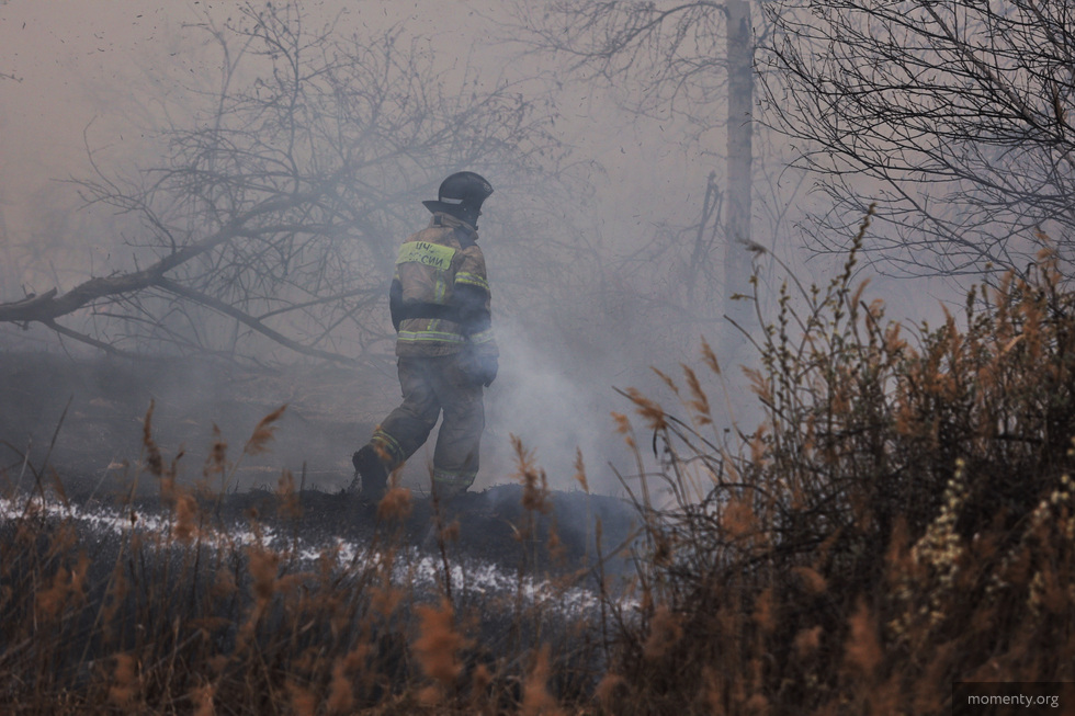 Уральцам окончательно запретили посещать леса Уральцам окончательно запретили посещать леса