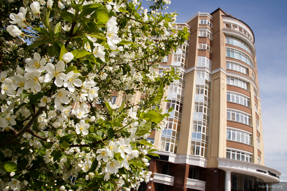 В старинной усадьбе по соседству с элитным клубным домом запустят новый ресторан В старинной усадьбе по соседству с элитным клубным домом запустят новый ресторан