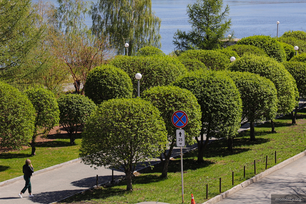 Екатеринбург признали одним из&nbsp;самых зеленых городов России