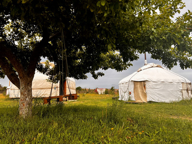 Традиционные жилища кочевников очень похожи между собой Традиционные жилища кочевников очень похожи между собой