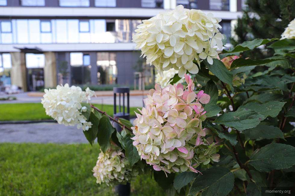 В Екатеринбурге появятся карманные парки В Екатеринбурге появятся карманные парки