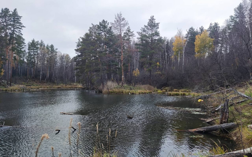 В Свердловской области запустили джип-туры по заброшенным рудникам В Свердловской области запустили джип-туры по заброшенным рудникам