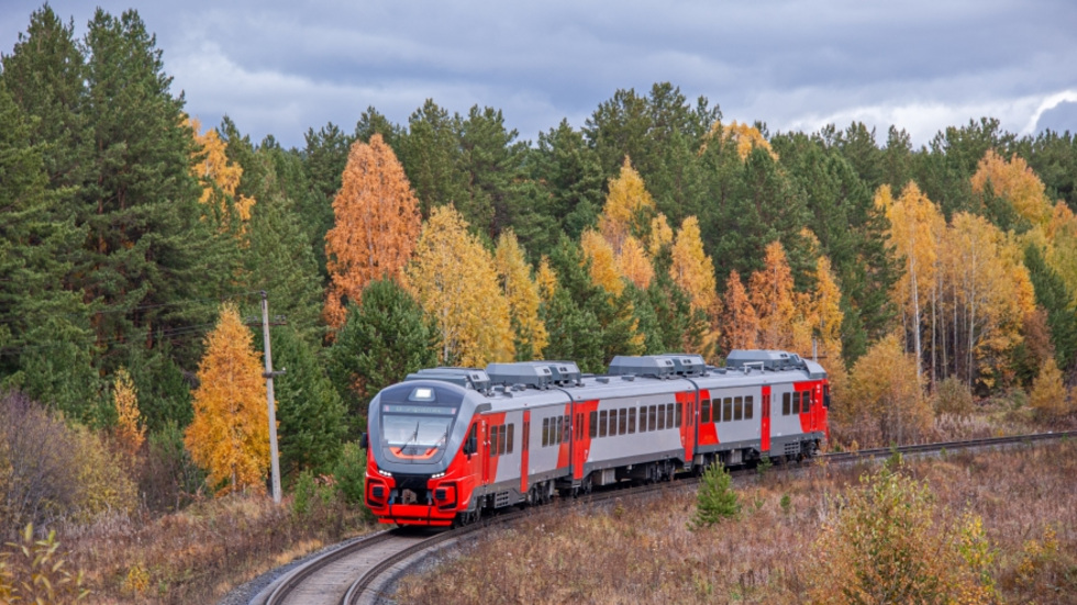 В СвЖД назвали дату последних поездов в «Оленьи ручьи» В СвЖД назвали дату последних поездов в «Оленьи ручьи»