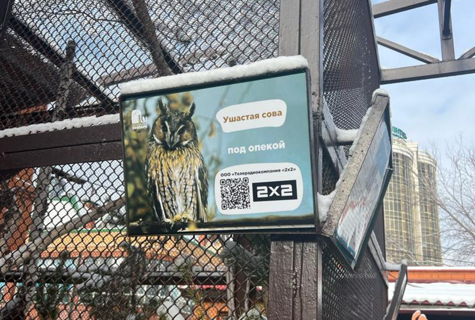 Канал 2×2 взял опеку над совой в Екатеринбургском зоопарке Канал 2×2 взял опеку над совой в Екатеринбургском зоопарке