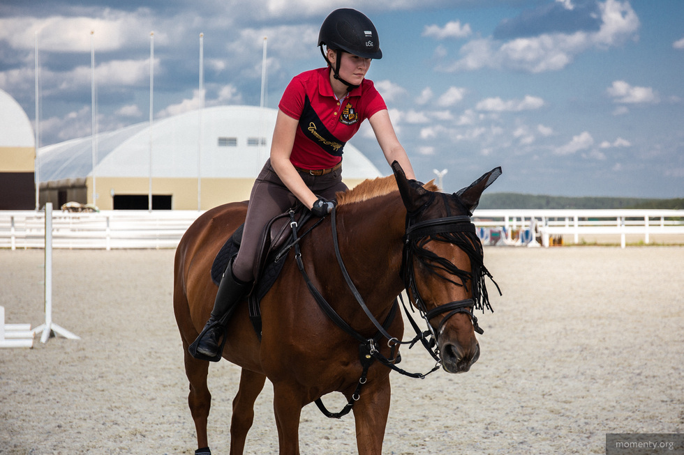 В элитном уральском загородном клубе запускают инклюзивный проект с лошадьми В элитном уральском загородном клубе запускают инклюзивный проект с лошадьми