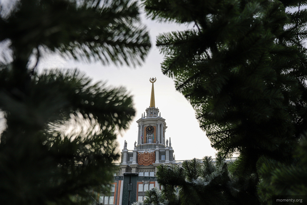 В Администрации раскрыли секрет центральной городской елки В Администрации раскрыли секрет центральной городской елки