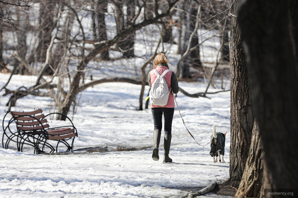 В Екатеринбурге выбрали парки-претенденты на благоустройство В Екатеринбурге выбрали парки-претенденты на благоустройство