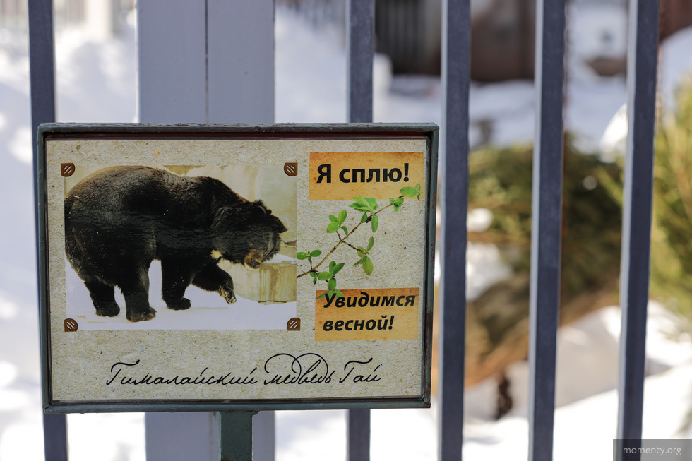 Обитатель зоопарка сорвал наступление весны в&nbsp;Екатеринбурге