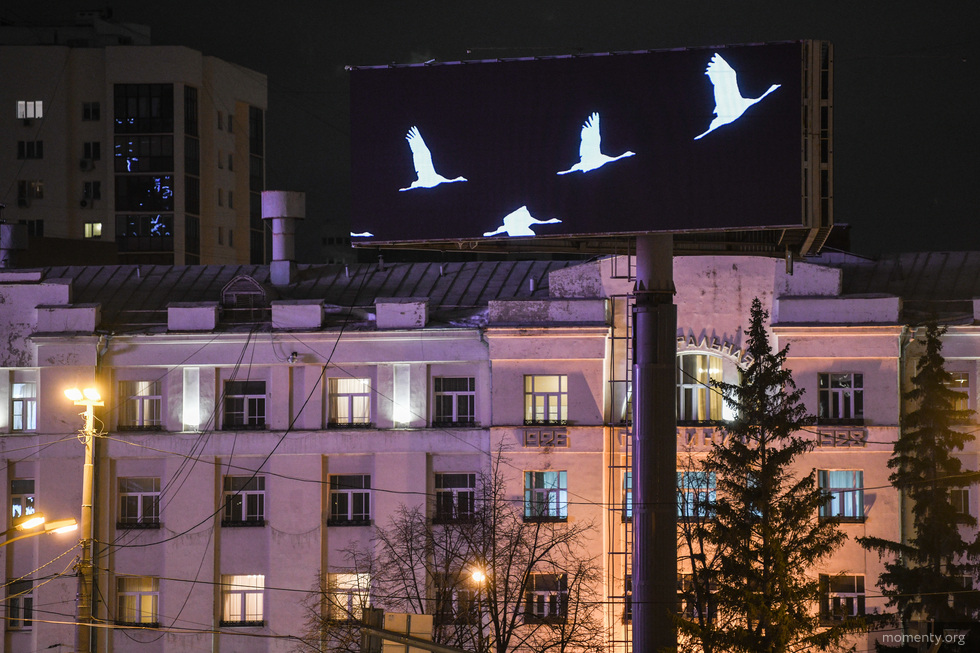 Почему журавль стал важным символом памяти Почему журавль стал важным символом памяти