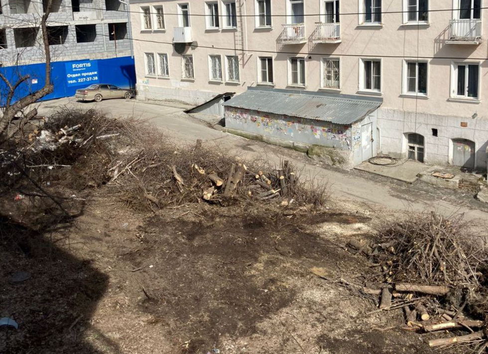 Потому что &laquo;Традиция&raquo;&nbsp;&mdash; застройщик вырубил десяток деревьев в&nbsp;Екатеринбурге ради парковки
