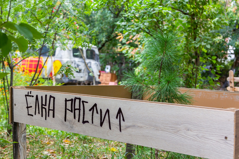 &laquo;Жизньмарт&raquo; восстановил вырубленные застройщиком деревья в&nbsp;Екатеринбурге